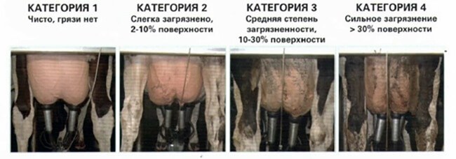 Бакобсемененности молока что это. %D0%B2%D1%8B%D0%BC%D1%8F. Бакобсемененности молока что это фото. Бакобсемененности молока что это-%D0%B2%D1%8B%D0%BC%D1%8F. картинка Бакобсемененности молока что это. картинка %D0%B2%D1%8B%D0%BC%D1%8F.