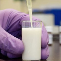 Бактериальная обсемененность молока