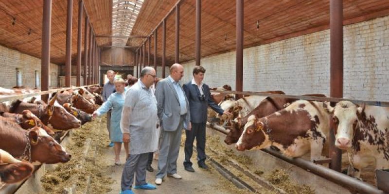 Интервью местной областной газете (март 2019 год)