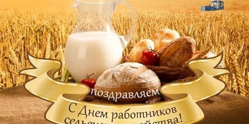Новостная лента блога. Куда пропал автор блога?