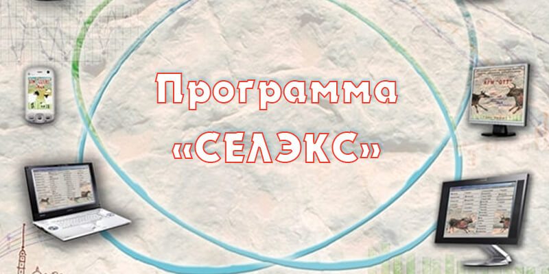 Что собой представляет программа Селэкс?
