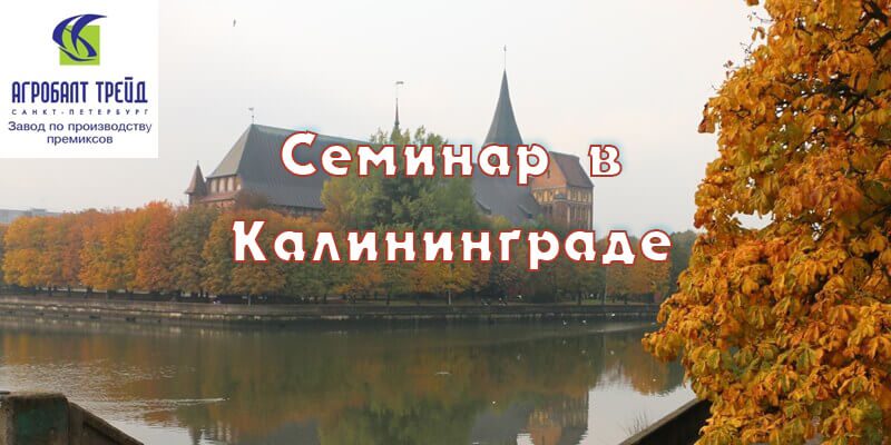 Научно-романтическая поездка в Калининградскую область