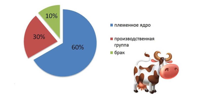 Структура стада крупного рогатого скота
