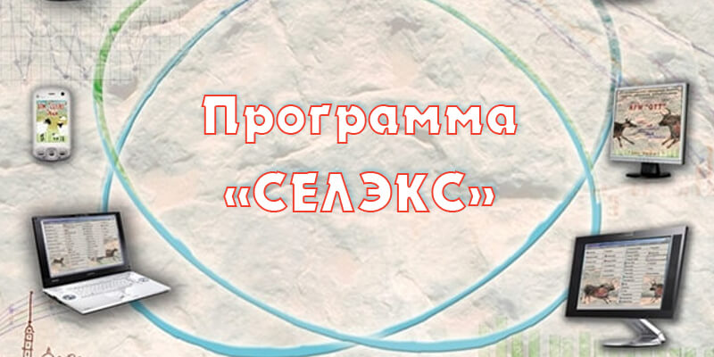 Что собой представляет программа Селэкс?