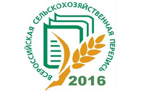 Кабачки спасут сельское хозяйство
