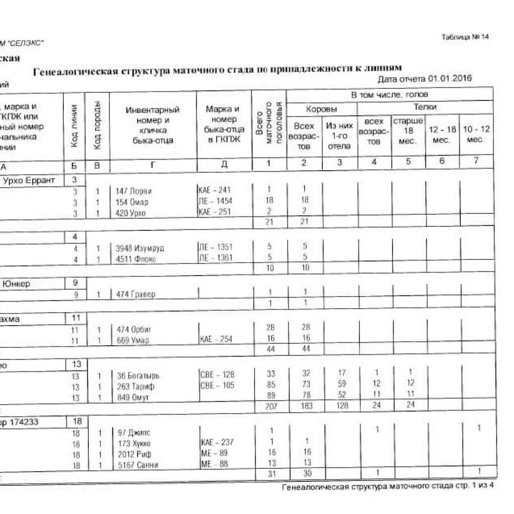 План селекционно племенной работы крс