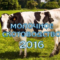 Молочное скотоводство в Ленинградской области. Итоги и приоритеты